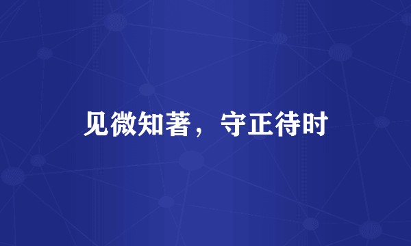 见微知著，守正待时