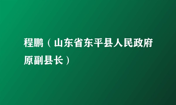 程鹏（山东省东平县人民政府原副县长）