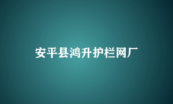 安平县鸿升护栏网厂