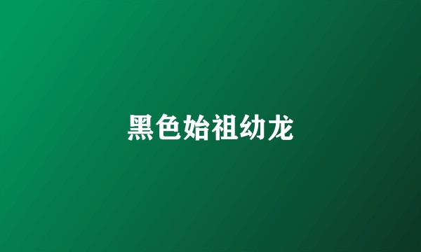 黑色始祖幼龙