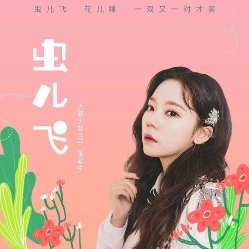 虫儿飞（紫宁演唱歌曲）