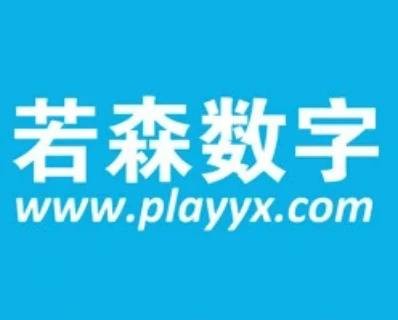 北京若森数字科技有限公司