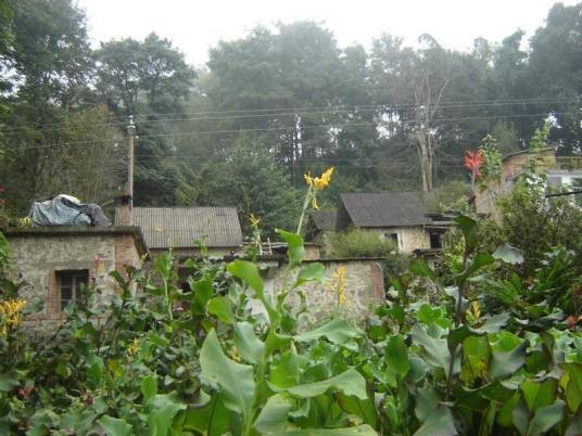 上寨村（福建省泉州市德化县雷峰镇下辖村）