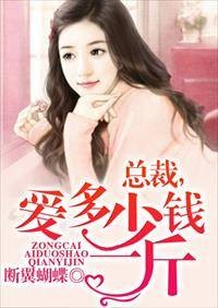 总裁，爱多少钱一斤
