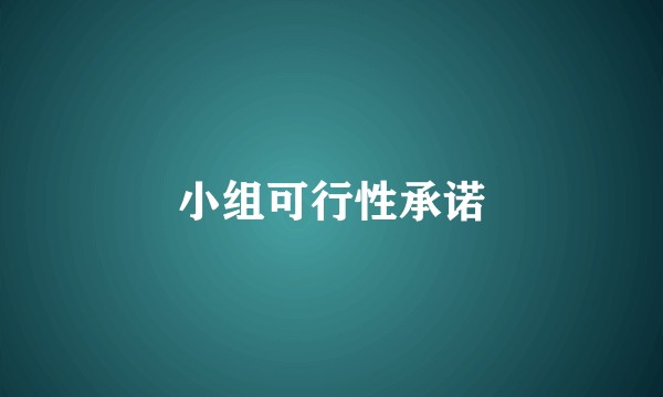 小组可行性承诺