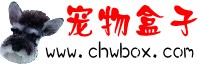 宠物盒子