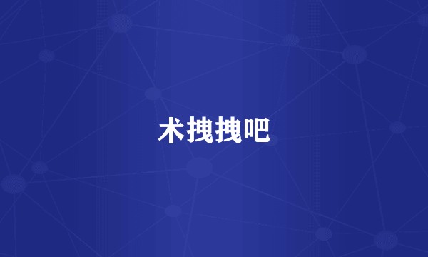 术拽拽吧