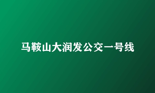 马鞍山大润发公交一号线
