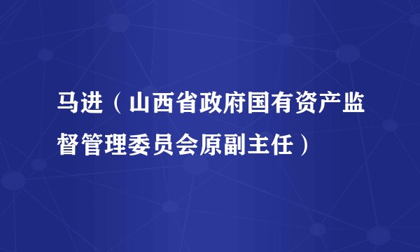 马进（山西省政府国有资产监督管理委员会原副主任）