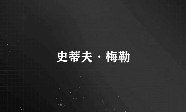 史蒂夫·梅勒