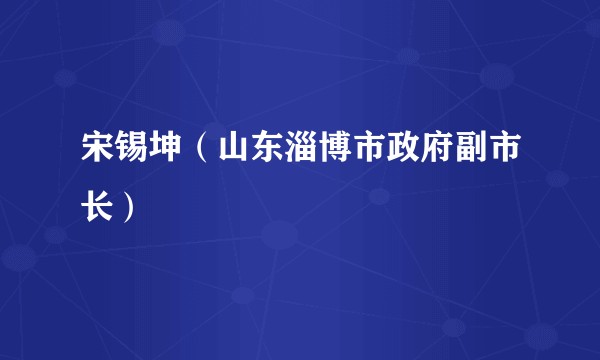 宋锡坤（山东淄博市政府副市长）