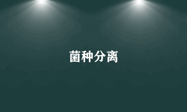 菌种分离