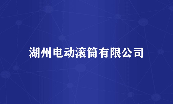 湖州电动滚筒有限公司