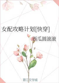 女配攻略计划[快穿]