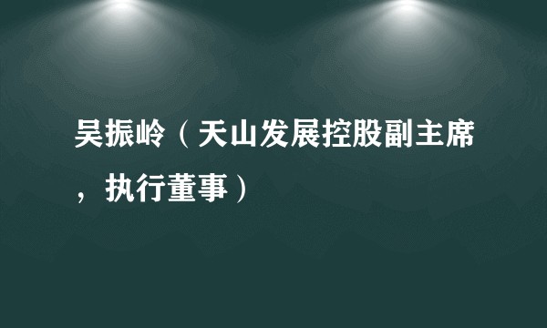 吴振岭（天山发展控股副主席，执行董事）
