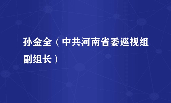 孙金全(中共河南省委巡视组副组长)