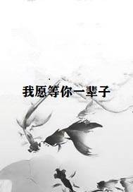 我愿等你一辈子