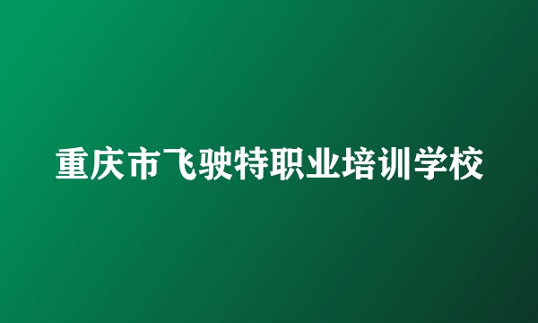 重庆市飞驶特职业培训学校