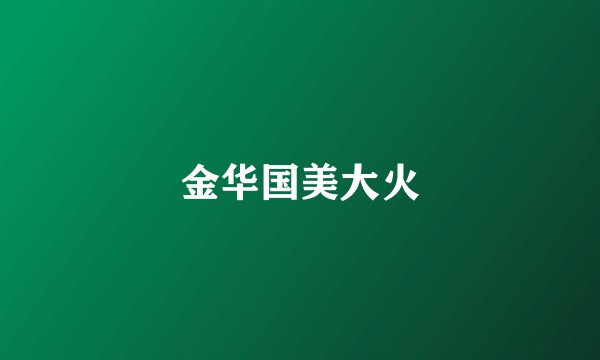 金华国美大火