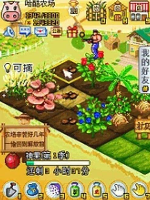 哈酷农场