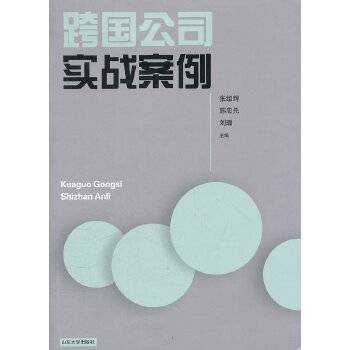 跨国公司实战案例