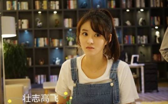 朵朵（电视剧《壮志高飞》中的角色）