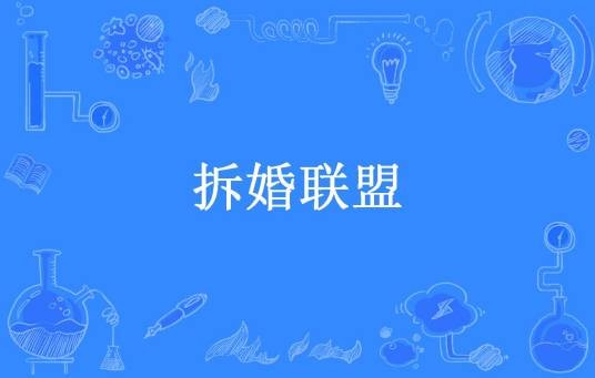 拆婚联盟（流云断所著小说）