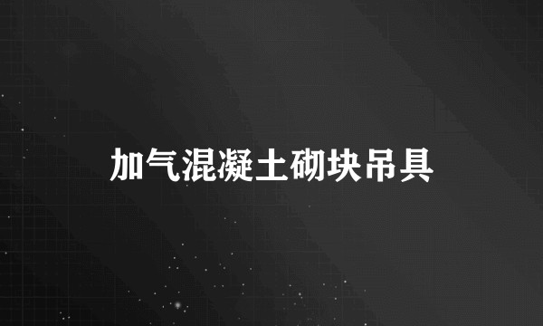 加气混凝土砌块吊具