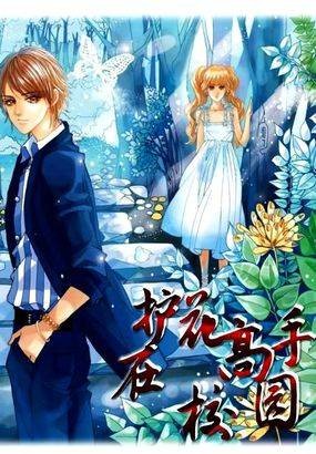 护花高手在校园（常笑创作的网络小说）