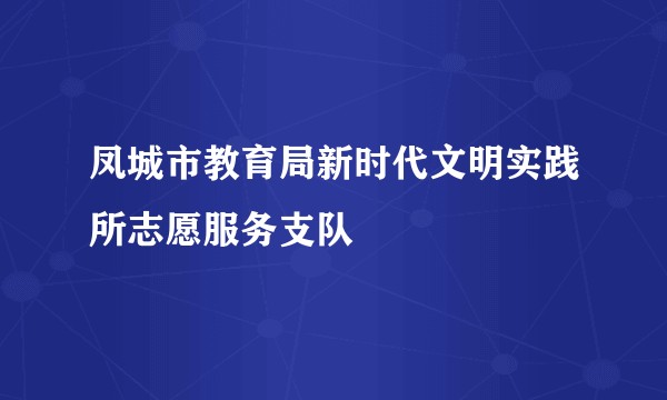 凤城市教育局新时代文明实践所志愿服务支队