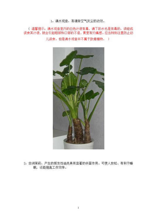 常见室内花卉