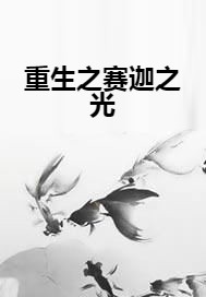 重生之赛迦之光