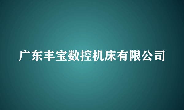广东丰宝数控机床有限公司