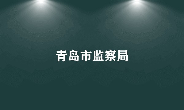 青岛市监察局