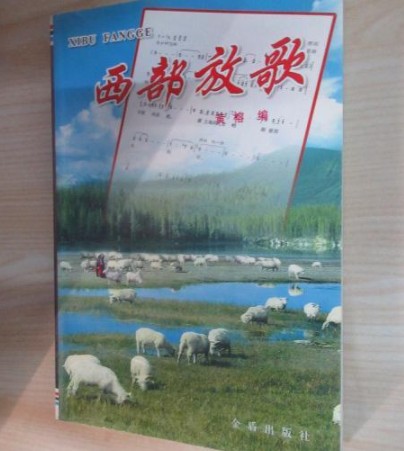 西部放歌（2012年金盾出版社出版的图书）