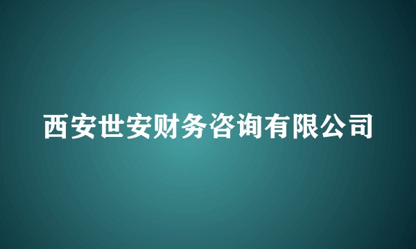 西安世安财务咨询有限公司