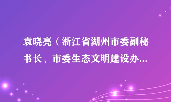 袁晓亮（浙江省湖州市委副秘书长、市委生态文明建设办公室第一副主任）