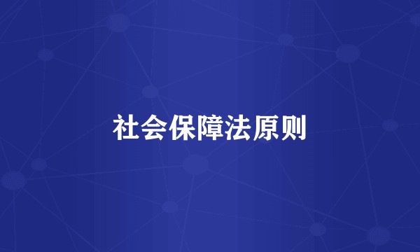 社会保障法原则