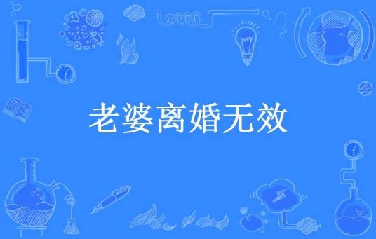 老婆离婚无效（苏婉年所著小说）