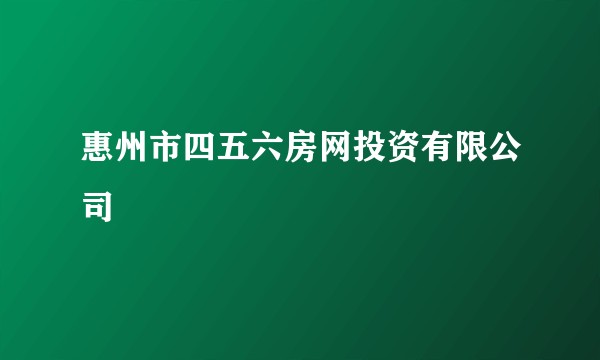 惠州市四五六房网投资有限公司