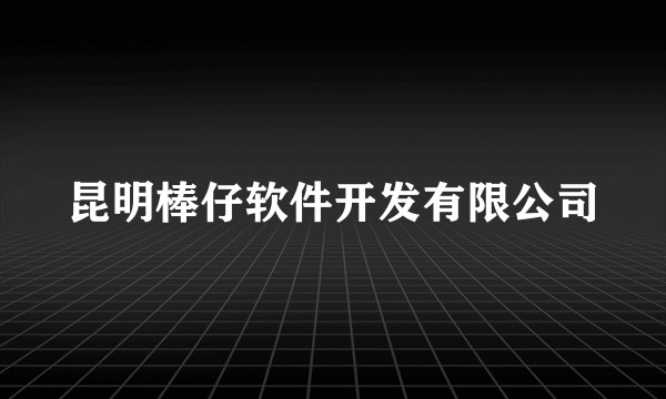 昆明棒仔软件开发有限公司