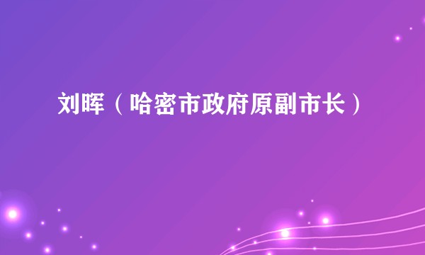 刘晖（哈密市政府原副市长）