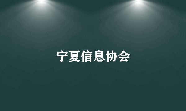 宁夏信息协会