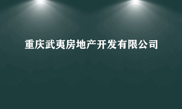 重庆武夷房地产开发有限公司