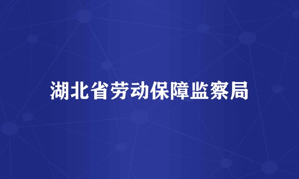 湖北省劳动保障监察局