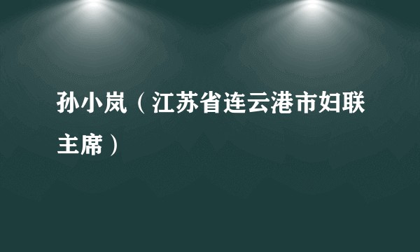 孙小岚（江苏省连云港市妇联主席）