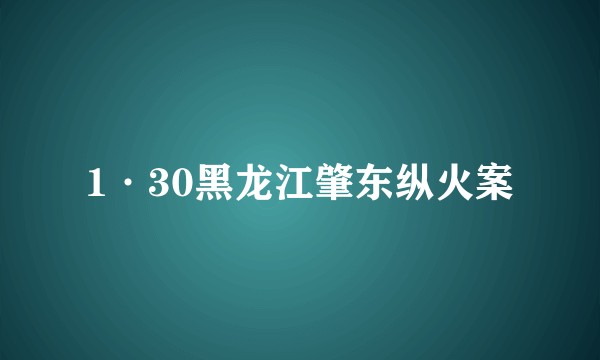 1·30黑龙江肇东纵火案