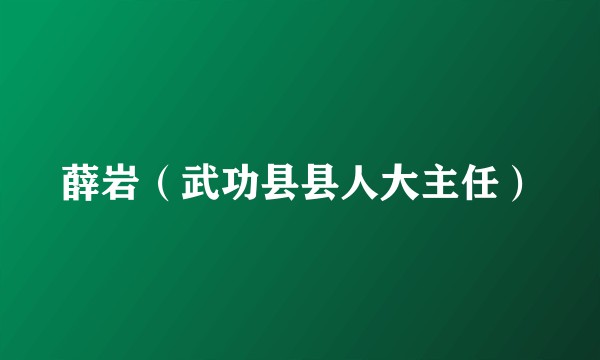 薛岩（武功县县人大主任）