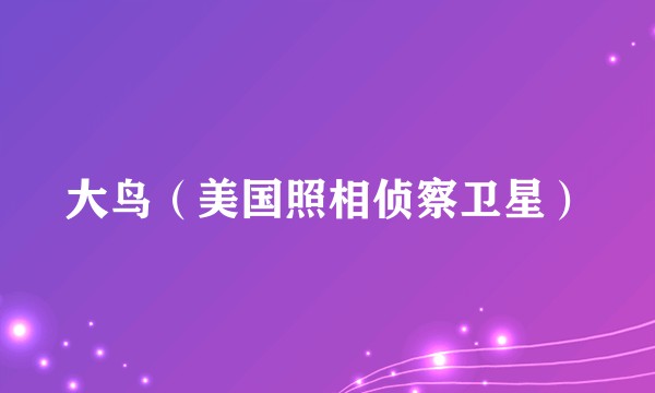 大鸟（美国照相侦察卫星）