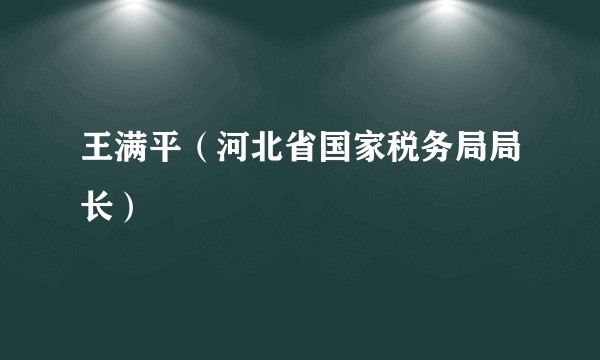 王满平（河北省国家税务局局长）